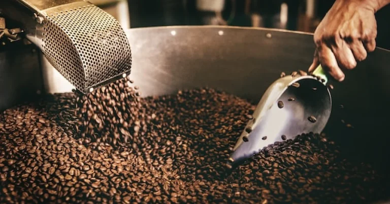 usaha pengolahan kopi