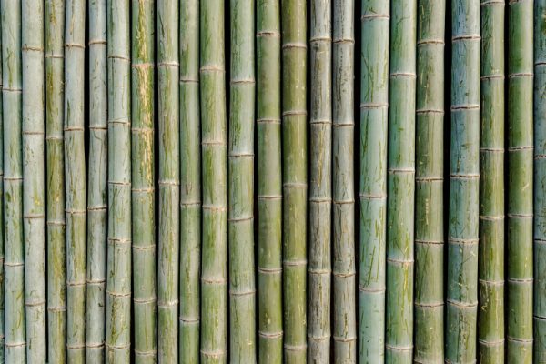 cara meratakan papan kayu bambu