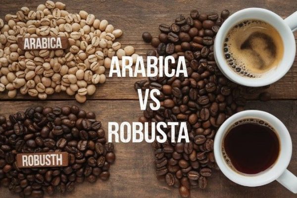 Americano Pakai Kopi Robusta atau Arabica americano pakai kopi robusta atau arabica