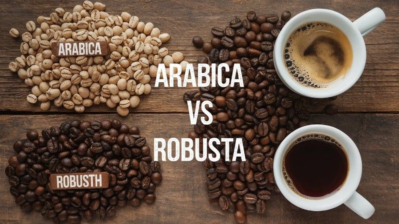 americano pakai kopi robusta atau arabica