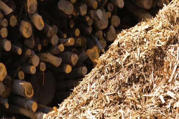 Solusi Praktis Daur Ulang Kayu