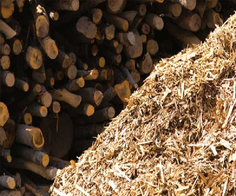 Solusi Praktis Daur Ulang Kayu