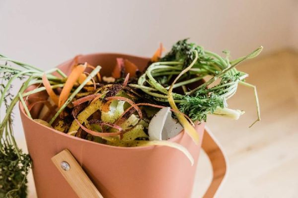 Strategi Efektif Pengelolaan Limbah Dapur Makan Gratis