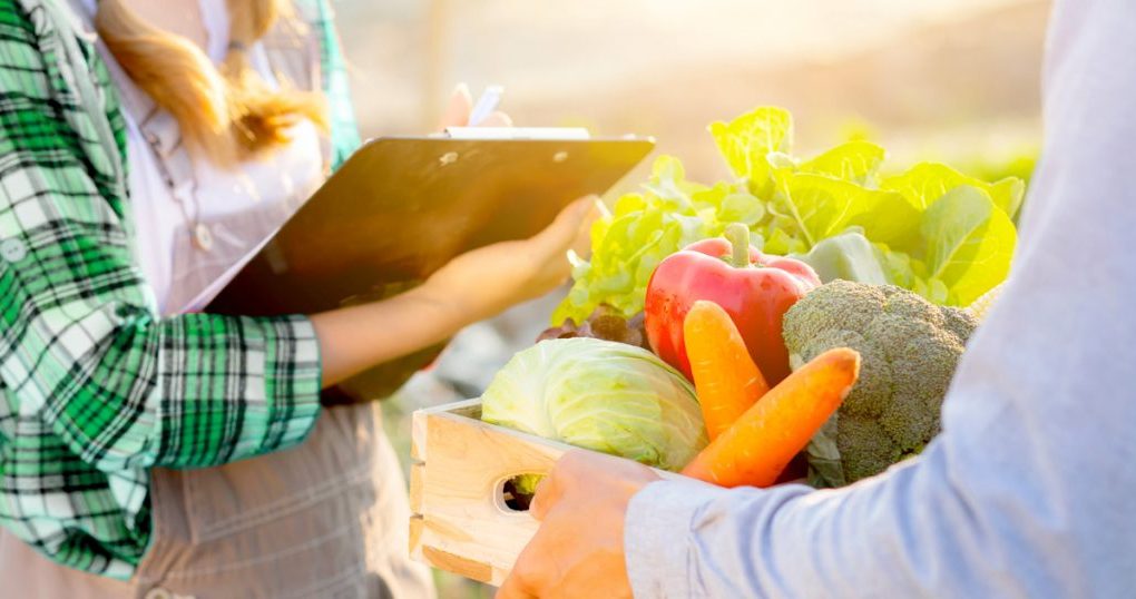 Panduan Pengelolaan Rantai Pasok Pangan untuk Dapur Efisien