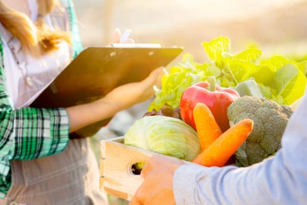 Panduan Pengelolaan Rantai Pasok Pangan untuk Dapur Efisien