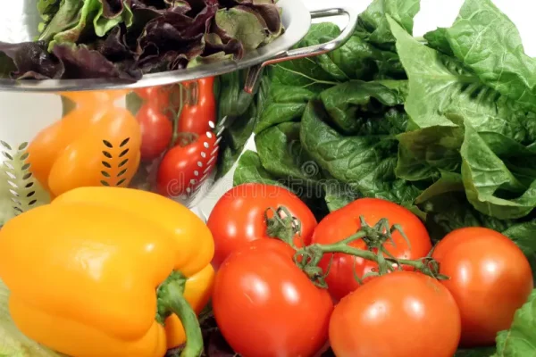 Pedoman penyimpanan bahan segar