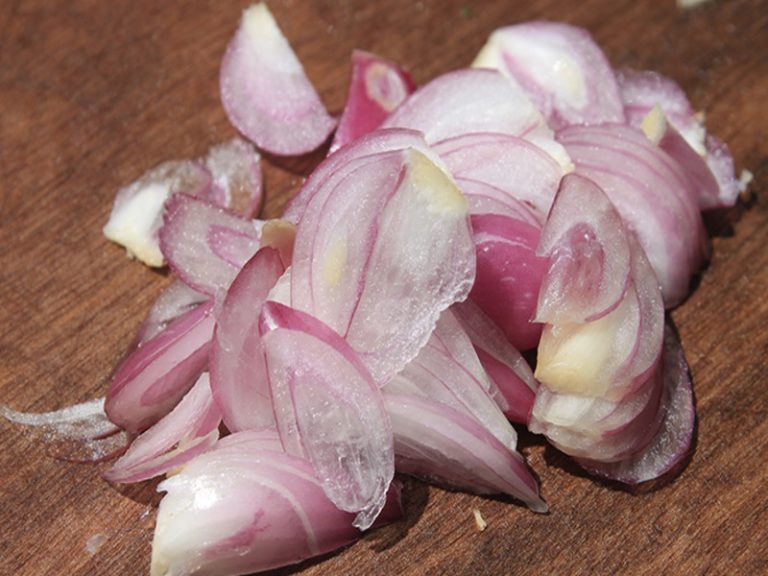 alat bantu rajang bawang cepat