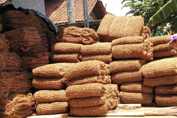 Cocomesh Mendukung Kompetensi Kreatif Pelajar