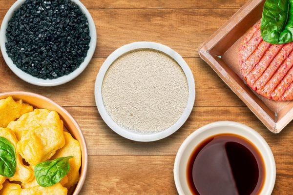 penggunaan bahan pengganti daging nabati