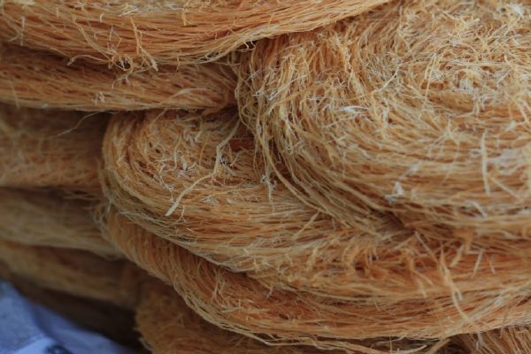 Sabut Kelapa untuk Industri Kecil