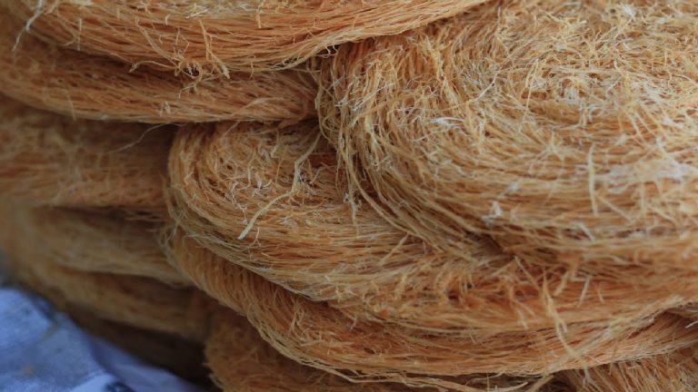 Sabut Kelapa untuk Industri Kecil