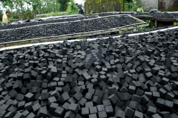 tips memulai usaha briket arang