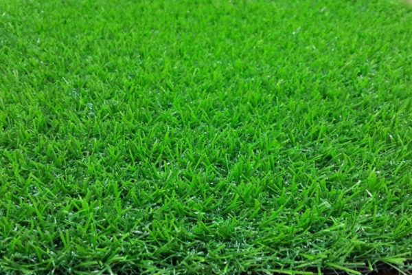 rumput penguat bobot harian