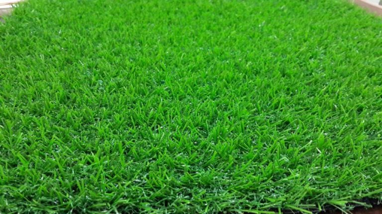 pakan hijauan bernilai gizi tinggi