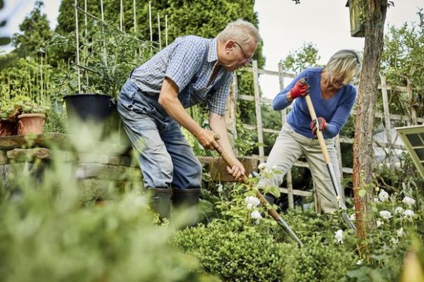 kegiatan produktif setelah pensiun