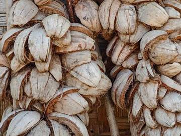 geotekstil alami berbahan sabut kelapa