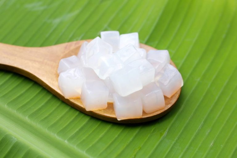 Cara Membuat Agar Nata De Coco