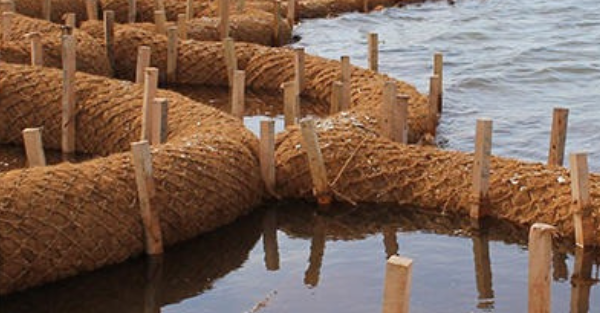 Sabut Kelapa untuk Tanggul Sungai