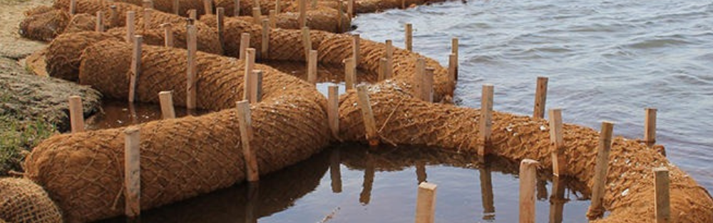 Sabut Kelapa untuk Tanggul Sungai