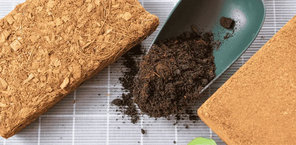 Cocopeat Sabut Kelapa
