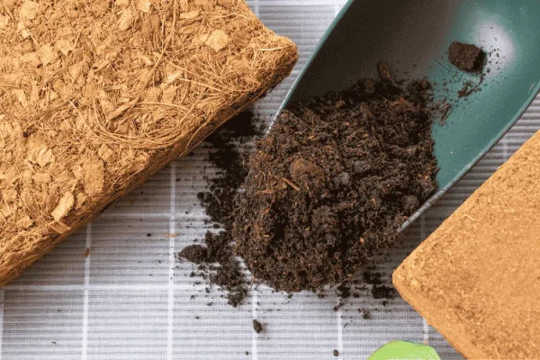 Cocopeat Sabut Kelapa