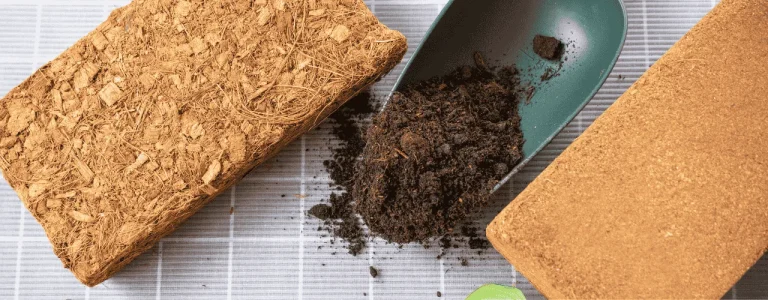 Cocopeat Sabut Kelapa