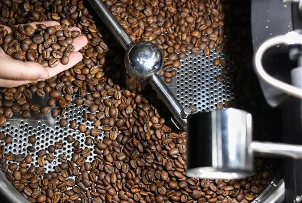 bisnis roasting coffee lokal