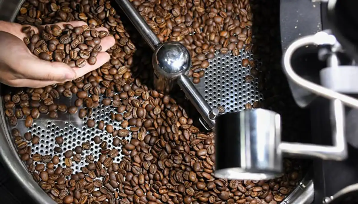 bisnis roasting coffee lokal