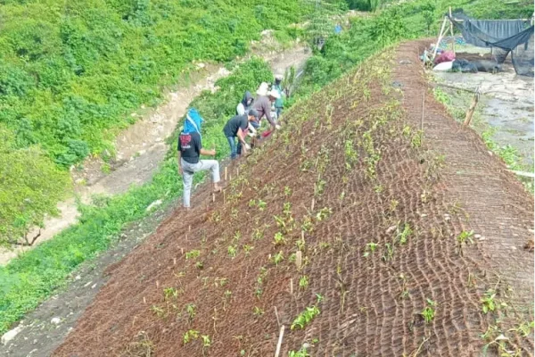 cocomesh-untuk-rehabilitasi-lahan-rusak